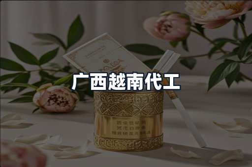 广西越南代工